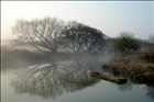 dailyPhoto8