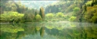 dailyPhoto6