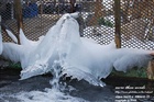 dailyPhoto40