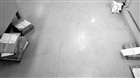 dailyPhoto13