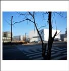 dailyPhoto8