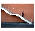 dailyPhoto38