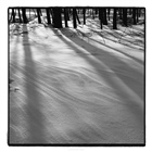 dailyPhoto14