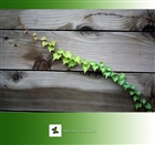 dailyPhoto3