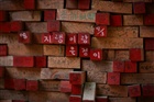 dailyPhoto7