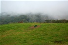 dailyPhoto9