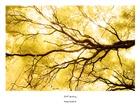 dailyPhoto15