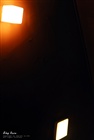 dailyPhoto4