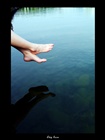 dailyPhoto38