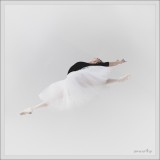 dailyPhoto1