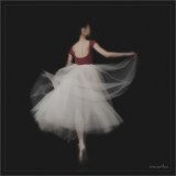 dailyPhoto3