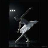 dailyPhoto1