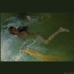 dailyPhoto37