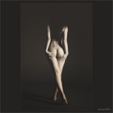 dailyPhoto9