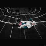dailyPhoto6