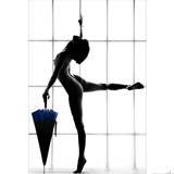 dailyPhoto4