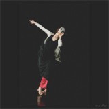 dailyPhoto14