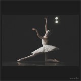 dailyPhoto36