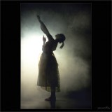 dailyPhoto11