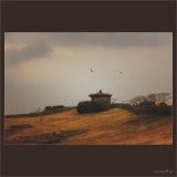 dailyPhoto21