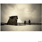 dailyPhoto9