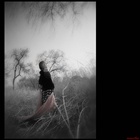 dailyPhoto29
