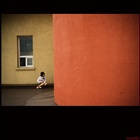 dailyPhoto10