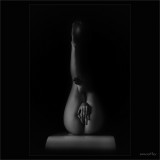 dailyPhoto9