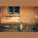 dailyPhoto33