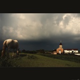 dailyPhoto35