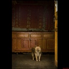 dailyPhoto10