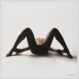 dailyPhoto5