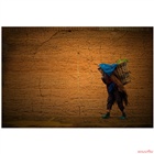 dailyPhoto19