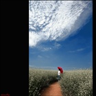 dailyPhoto40