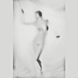 dailyPhoto3