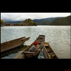 dailyPhoto29