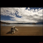 dailyPhoto33