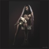 dailyPhoto3