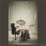 dailyPhoto29