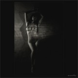 dailyPhoto9