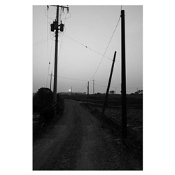 dailyPhoto9