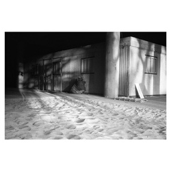 dailyPhoto10