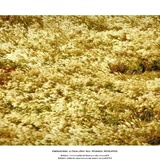 dailyPhoto8
