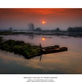 dailyPhoto7