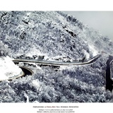 dailyPhoto9