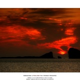 dailyPhoto1