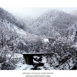 dailyPhoto4