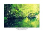 dailyPhoto22
