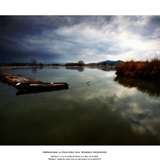 dailyPhoto20