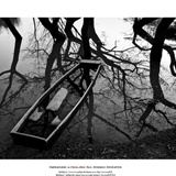 dailyPhoto9